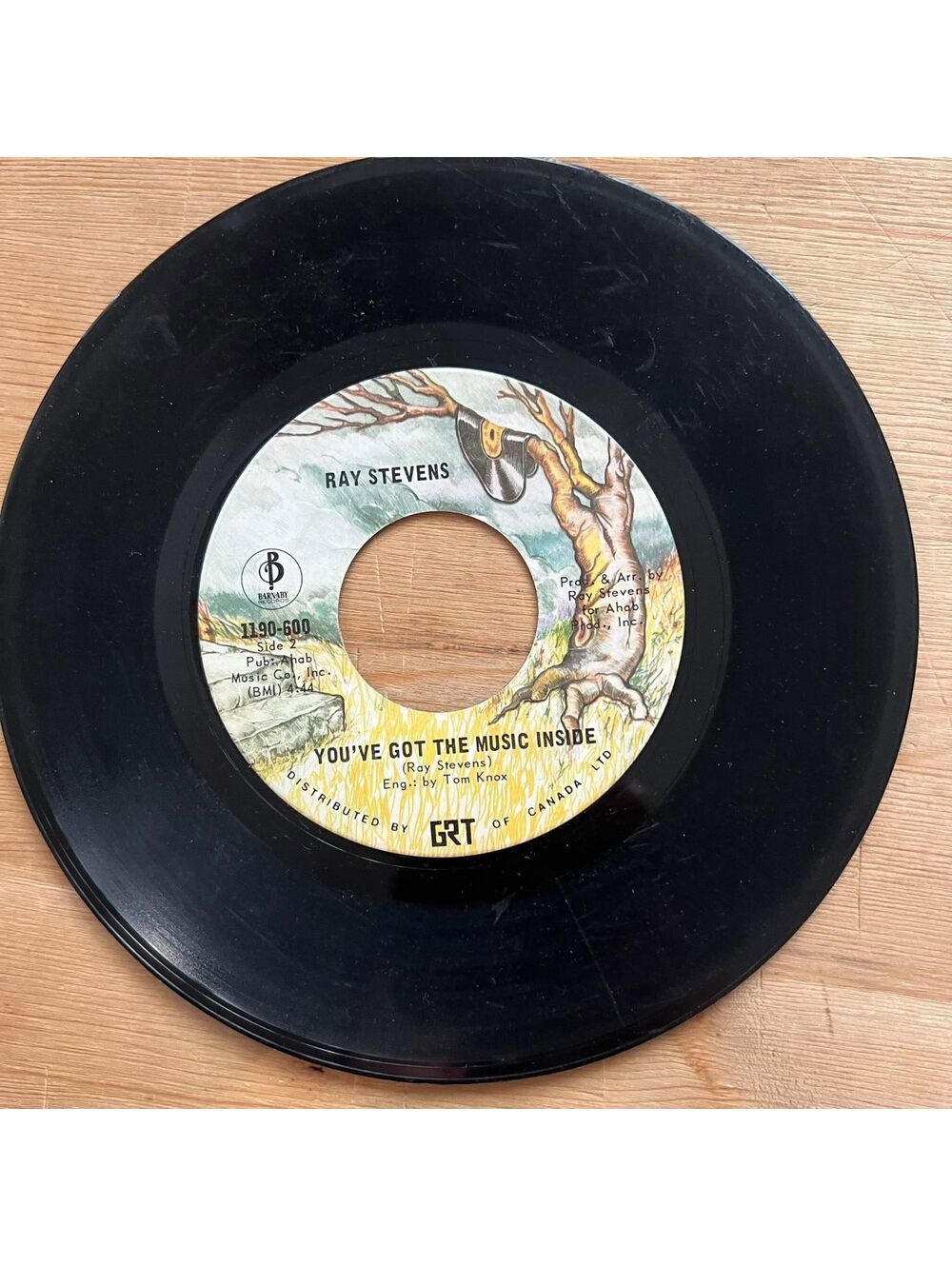 Ray Stevens - You've got the Music Inside/The Streak 45rpm VG+ R12